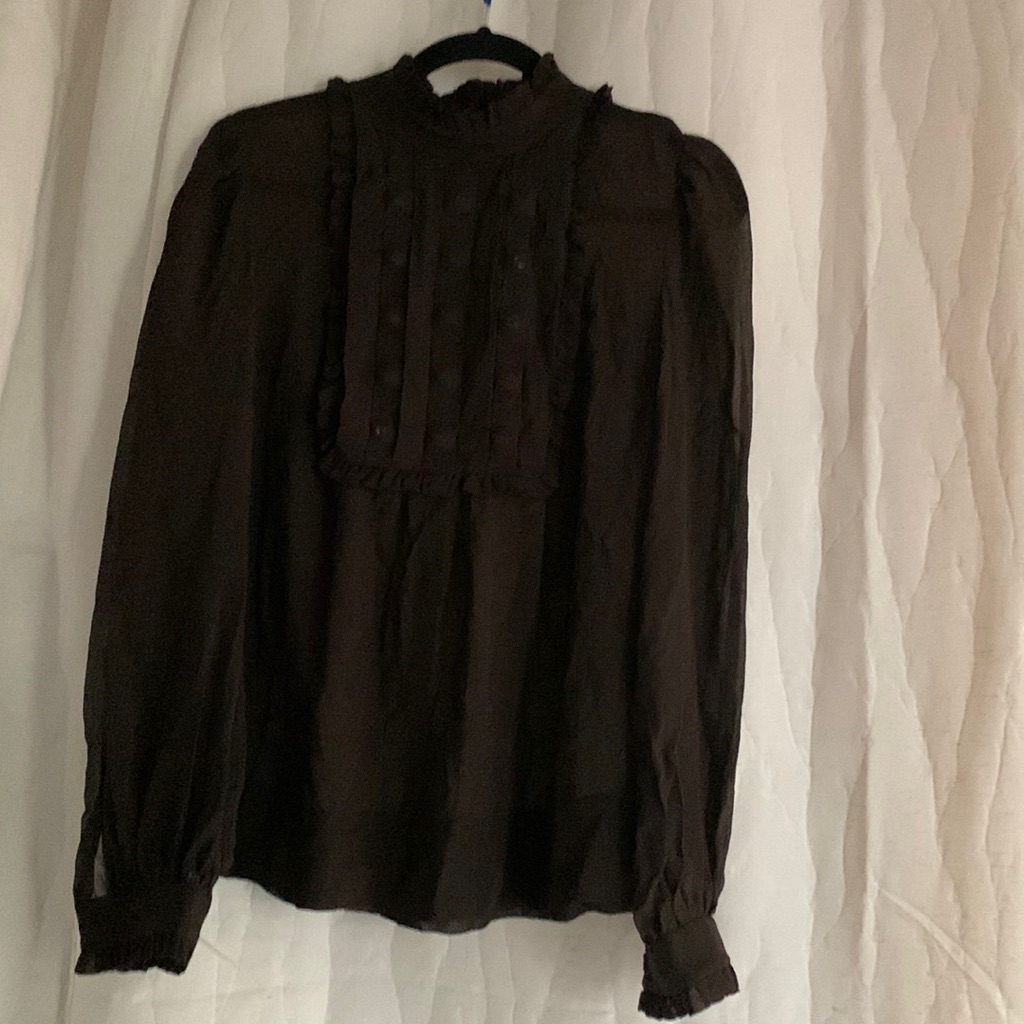 Etcetera Brown Silk Long Sleeve Georgette Blouse 4